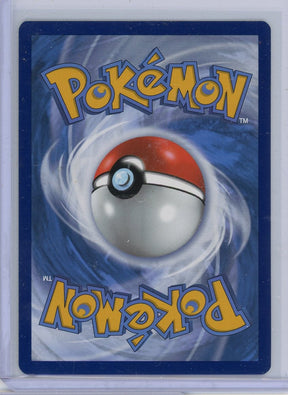 Eevee Pokémon Brilliant Stars Trainer Gallery Full-Art #TG11/TG30 LP
