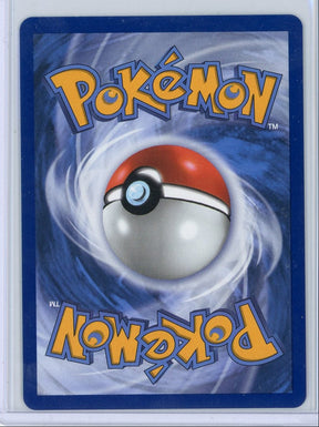 Froakie Pokémon Chaos Rising Illustration Rare #088/086