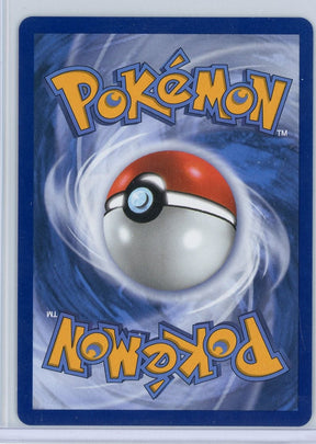 Cyndaquil Pokémon Mega Evolution First Partner Black Star Promo #047