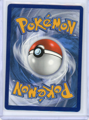 Houndoom Pokémon Battle Styles Secret Rare #179/163